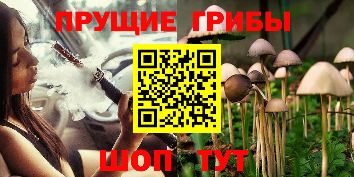 Галлюциногенные грибы Psilocybe Прохладный